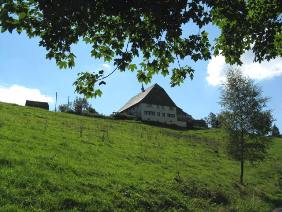 View up a hill